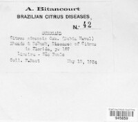 Image Associated With the Occurence